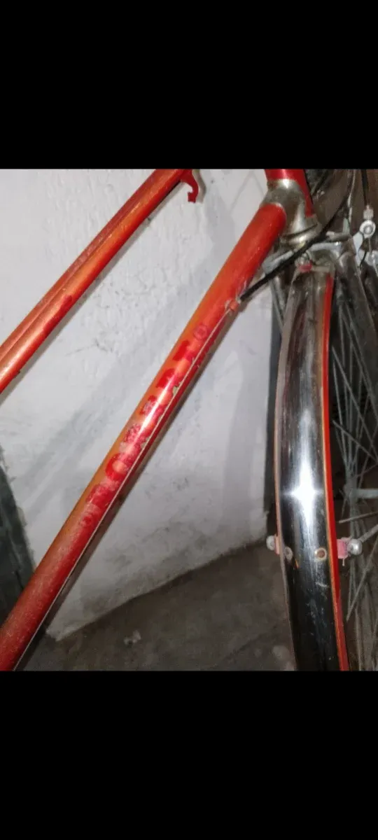 Bicicletta da donna vintage