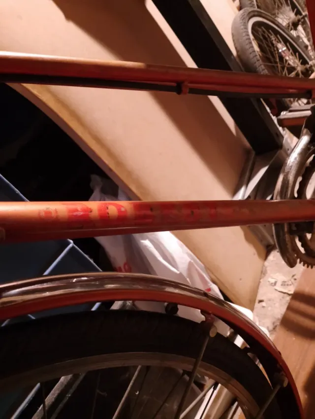 Bicicletta da donna vintage