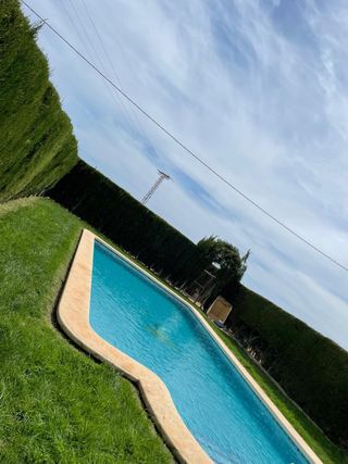 Servicios Profesionales de Jardinería