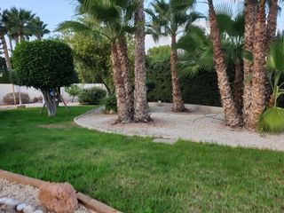 Servicios Profesionales de Jardinería