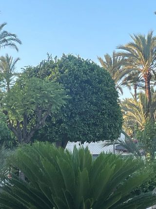 Servicios Profesionales de Jardinería