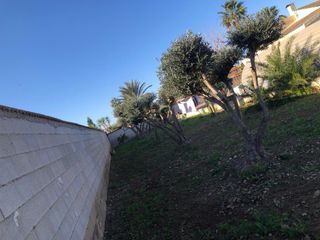 Servicios Profesionales de Jardinería