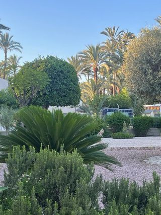 Servicios Profesionales de Jardinería