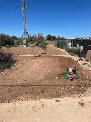 Servicios Profesionales de Jardinería