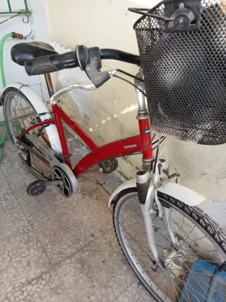 Bicicleta con cesta y bomba de aire