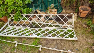 Puerta hierro libro buen estado.