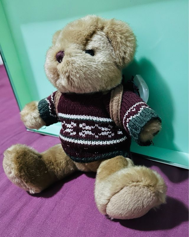 Osito de peluche con jersey