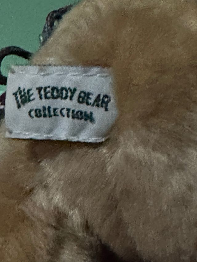 Osito de peluche con jersey