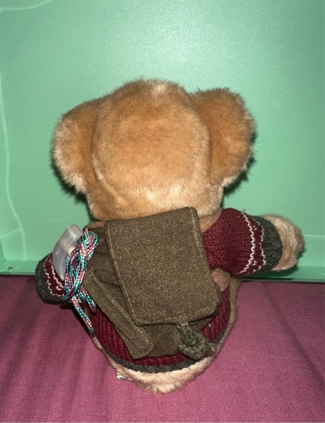 Osito de peluche con jersey