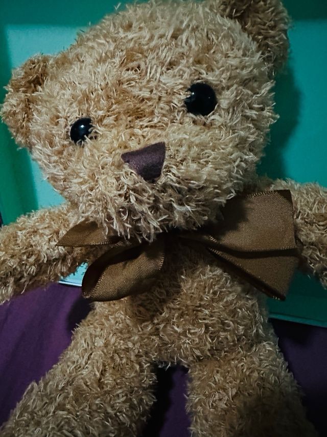 Osito de peluche marrón con lazo