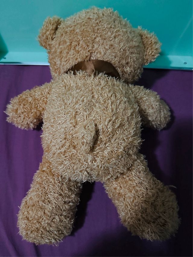 Osito de peluche marrón con lazo