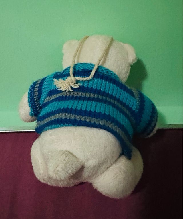 Osito de peluche con jersey
