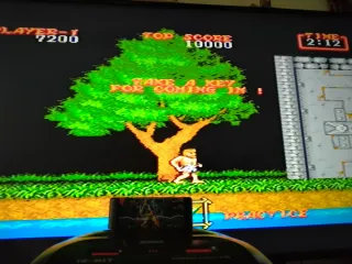 Ghouls 'n Ghosts Mega Drive