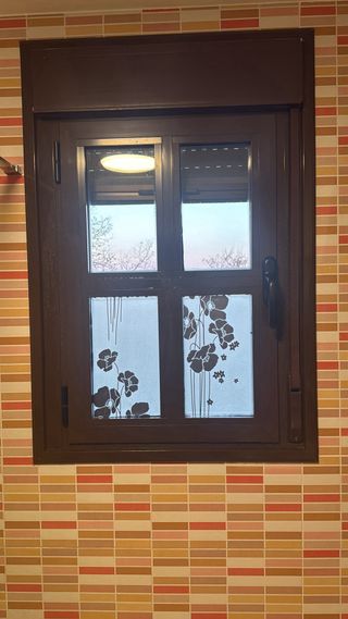 6 Ventanas aluminio Climalit con persiana