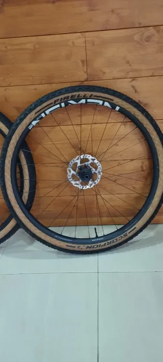 Ruedas Nemen MTB 29 con Cubiertas Pirelli