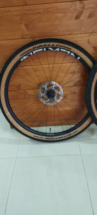 Ruedas Nemen MTB 29 con Cubiertas Pirelli