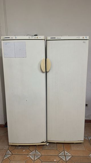 Conjunto 2 Neveras Liebherr Comfort