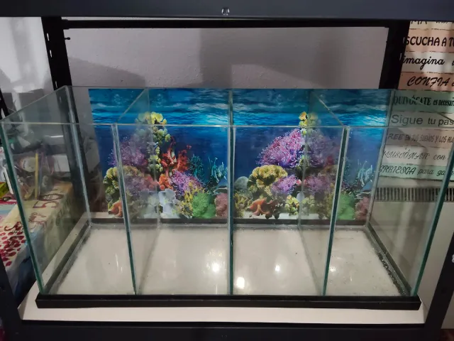 Batería acuario 4 compartimentos