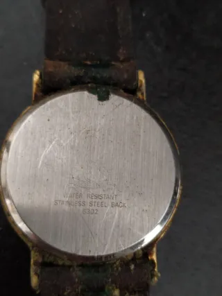 3 Relojes de Pulsera: Orient, Festina, Thermidor