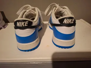 Nike Dunk Low Azul y Blanco
