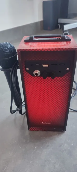 Karaoke con micrófono The Voice