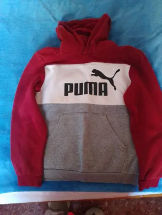 Sudadera Puma Roja y Gris
