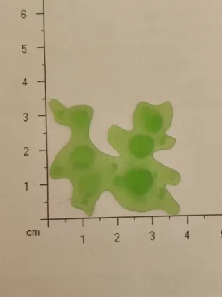 Miniatura Pozza Acida Verde