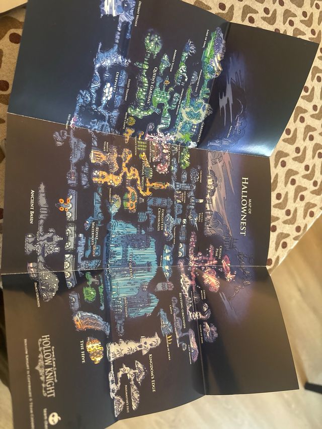 Hollow Knight Switch + Mapa Collector