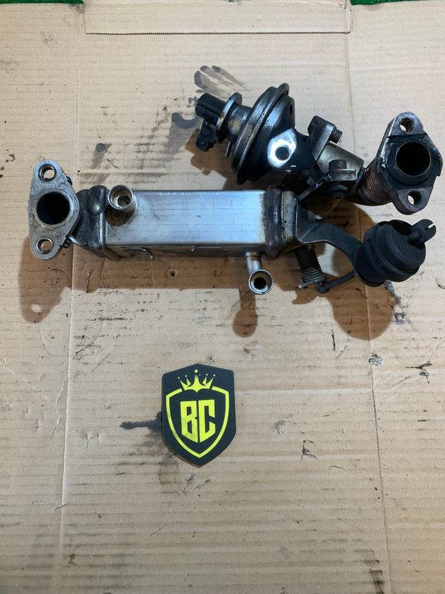 Enfriador EGR BMW E60