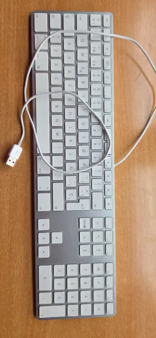 Ratón inhalambrico Teclado a cable Apple