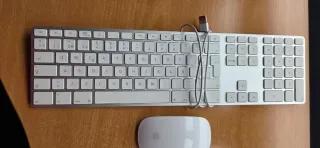 Ratón inhalambrico Teclado a cable Apple