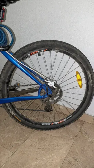 Bicicleta Specialized Montaña Azul