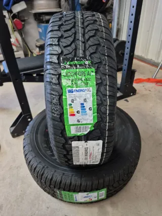 255/70 R15C 112/110S LANVIGATOR CATCHFORS A/T