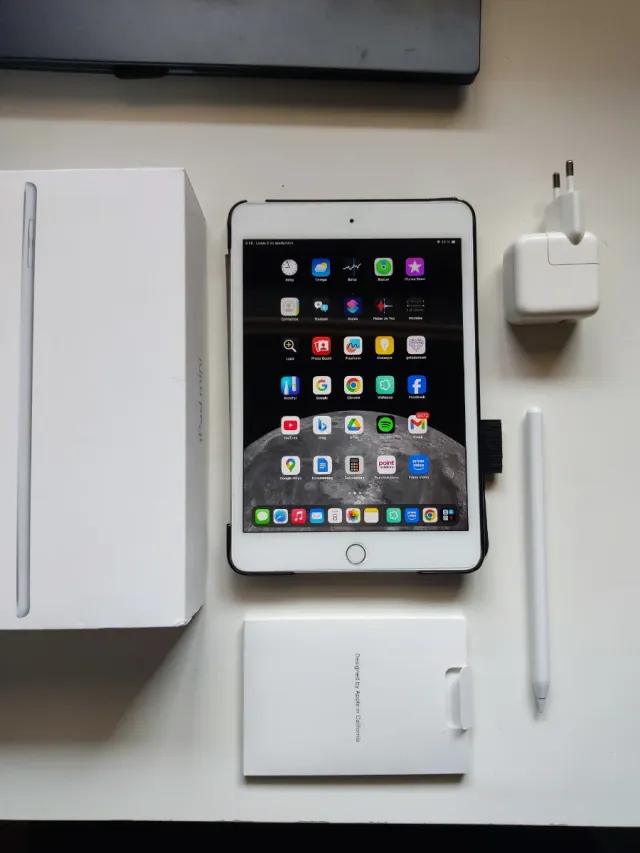 Apple iPad Mini 5 Argento come nuovo