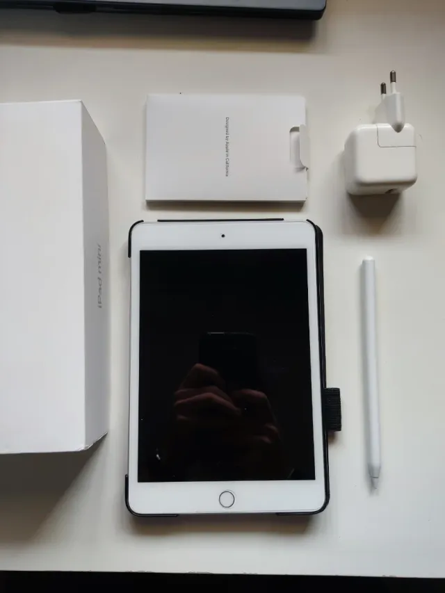 Apple iPad Mini 5 Argento come nuovo