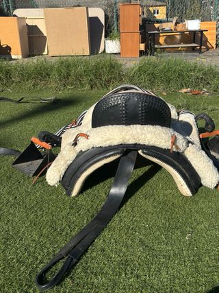 Montura Vaquera, estribos y secador metálico.