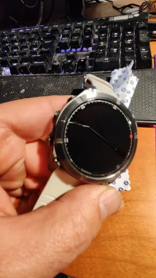 Garmin Fenix Plata y Blanco