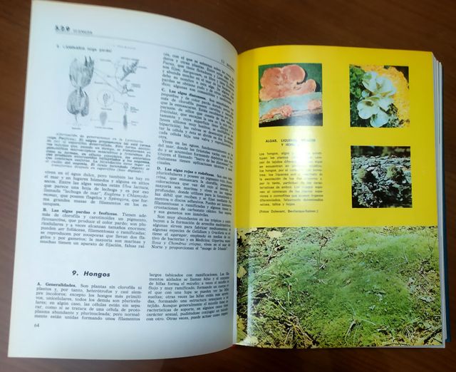 ENCICLOPEDIA ACTA 2000