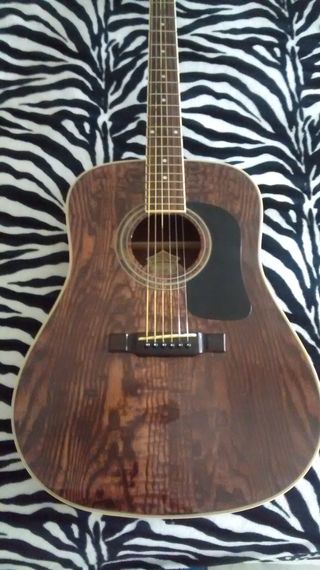 Washburn D11BR Acústica Guitarra