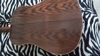 Washburn D11BR Acústica Guitarra