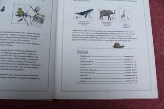 Inventario ilustrado de animais