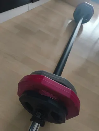 Manubri da 20 kg (senza barra)