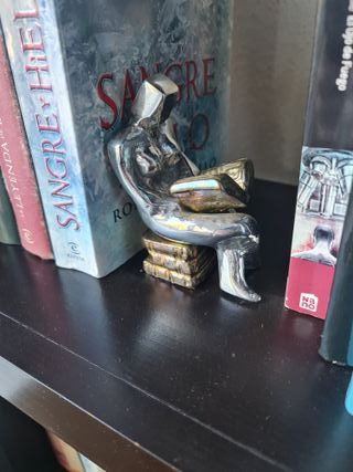 Pareja de sujetalibros de lectura