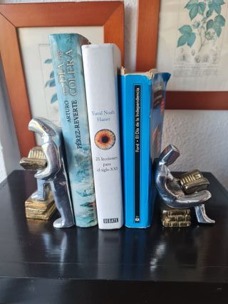 Pareja de sujetalibros de lectura