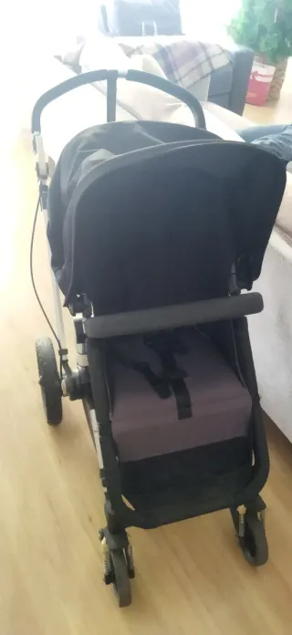 Carro Bugaboo Camaleon 1ª Gen