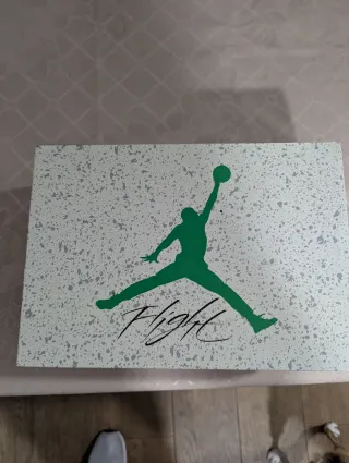 Jordan Wmns Air Jordan 4 RM Verde