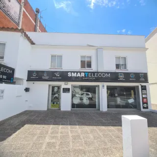 Pinturas y otros servicios