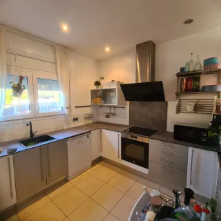 Pinturas y otros servicios