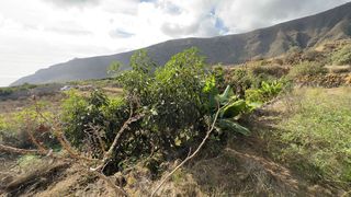 Terreno en venta en Güímar