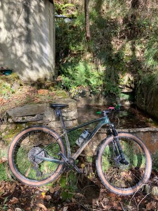 Bicicleta de montaña scott scale